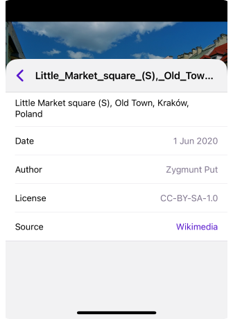 iOS – Vue détaillée